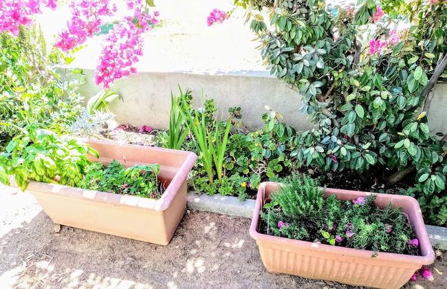 Tertenia Ground Floor South 3 min Walk From the sea - Photo 19