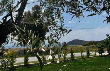 •Naiades Villas•Meliti• - Photo 15