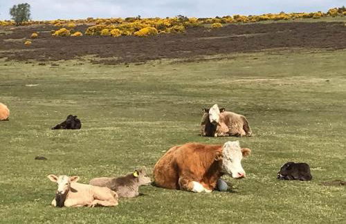 Perfect holiday Home from Home , three bedroom house for 5 guests - Foto 30