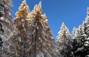 Ary Holiday Home Ski , Bike & Walk - Foto 26