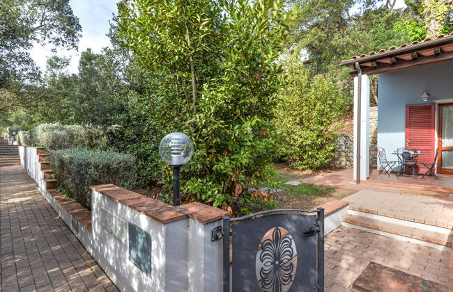 Mezzo Ortano - Foto 31