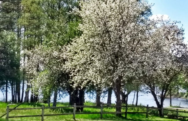 6 Person Holiday Home in Aplared-by Traum - Foto 20