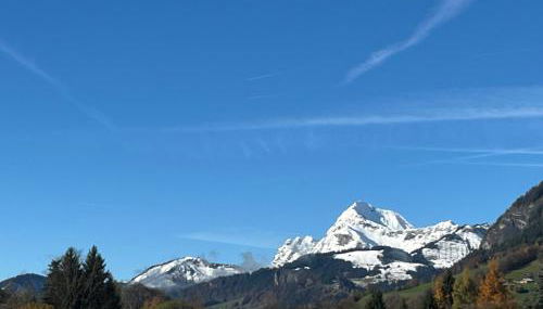 Le Nantoran - Photo 3