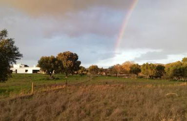 Casa do Vale da Terra Negra - Foto 29