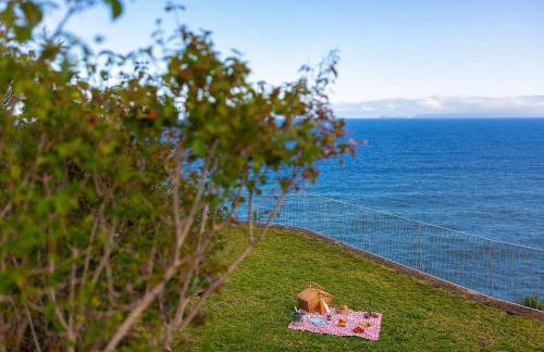 Fazendinha by Real Vision - Foto 63