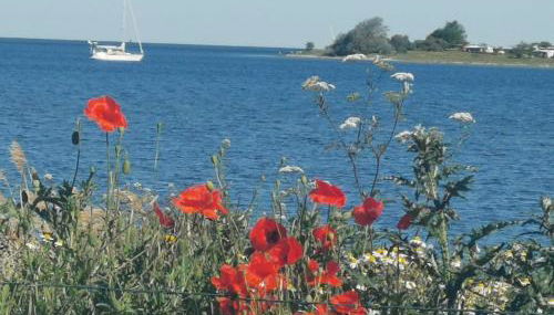 Gemütliche Ferienwohnung unterm Reetdach - Foto 3