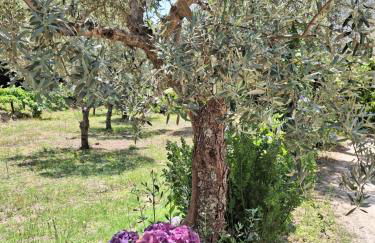 Quinta da Portela - Foto 29