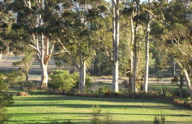 Karribank - Photo 40