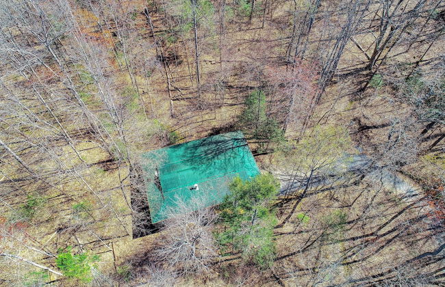 Into the Wild - 2 Bedrooms, 3 Baths, Sleeps 6 Home by RedAwning - Foto 19