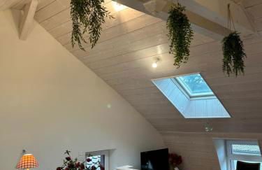 La Pistacherie à 30m de la plage de Grande Rive - Foto 1