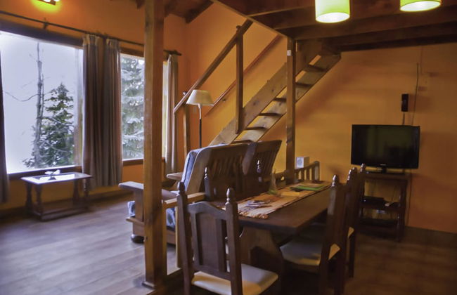 Cabañas Villa Pañil - Foto 16