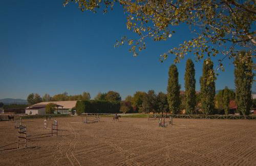 Podere Violino - Foto 9