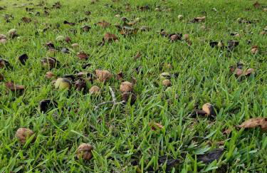 Quintal do Freixo - Country House - Photo 9