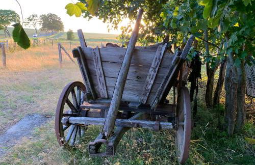 Himmelreich Rügen - Foto 79