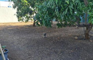 Villa Los Llanos - Foto 15