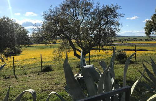 Quinta da Colina - Foto 43