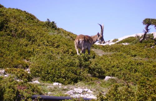 Ca Les Barberes - Foto 11