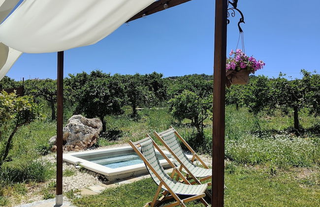 AgriBarocco - Photo 13