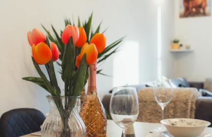 1 Bed-park View-balcony-wifi-pet Friendly - Foto 31