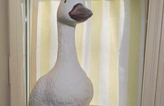 Ferienwohnung "Altes Pastorat" - Foto 29