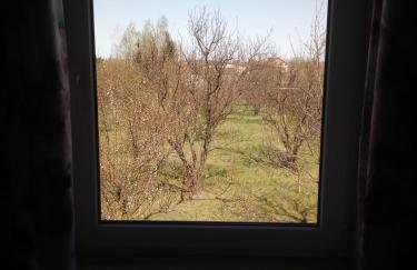 Apartamenty i pokoje Pluszak - Foto 16