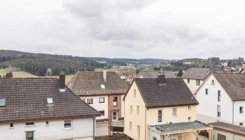 Schwarzwaldblick - Foto 4