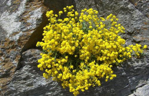 Residence Laitacherhof - Modern Apartments with Sauna - Photo 38