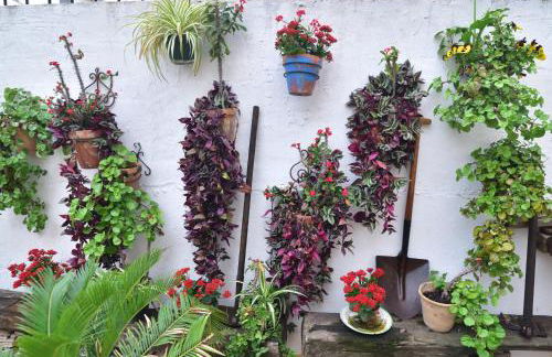 Casa Tenorio Barrio de Santa Cruz - Photo 6