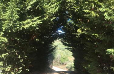 Mountain House near Pyrgos Ilias - Photo 39