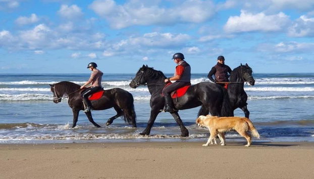 Passeio a Cavalo - Tour - Foto 2