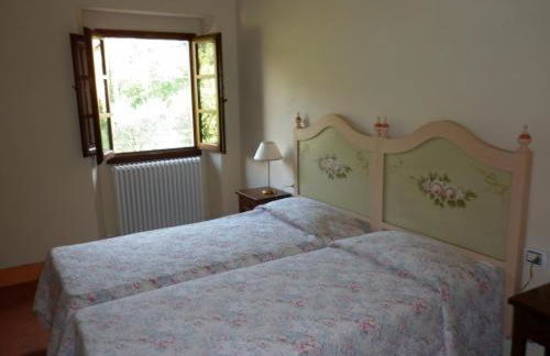 azienda agricola lo zolfino - Photo 42