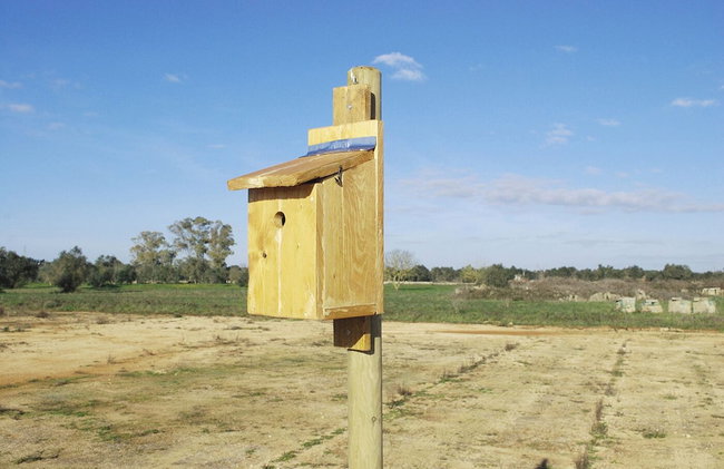 Agriturismo Masseria Galatea - Foto 30