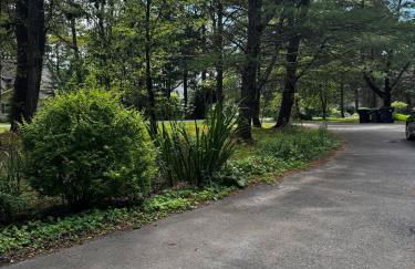 Large Group Friendly 2 Game Rooms Indoor Sauna Hot Tub Near Jack Frost Ski Resort - Foto 62