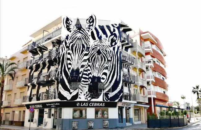 Las Cebras Apartamentos Turísticos - Foto 54