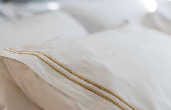 Downtown Brussels Splendor Suites - Foto 2