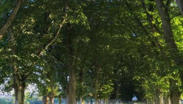 Chateau De Piedouault - Photo 5