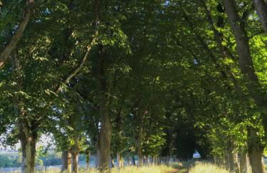 Chateau De Piedouault - Photo 5