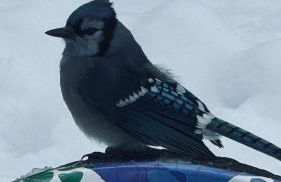 The Tannery House - Foto 12