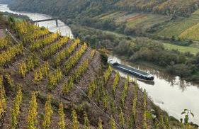 Haus im Weinberg - Foto 46