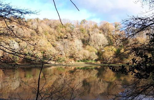 Gite de Beg Menez Le 14 - Gite à la Forêt Fouesnant - Foto 24