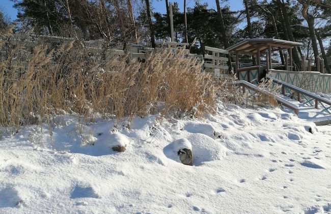 Alluring Holiday Home in Pepelow near Sea Beach & Water Sports - Foto 35