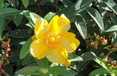 Petite Maison de campagne dépaysante - Foto 7