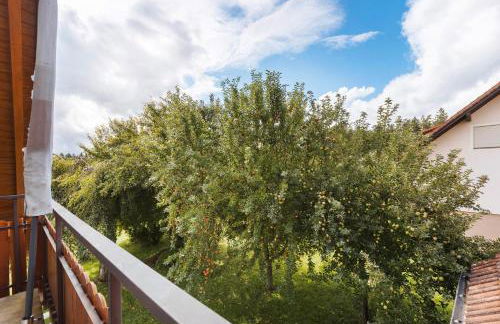 Apartmenthaus Schöne Aussicht - Photo 42