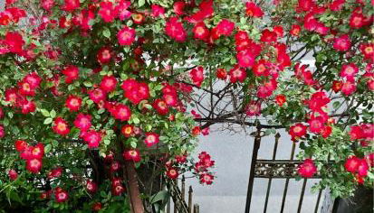 onde house casa vacanze Le Grazie - Foto 4