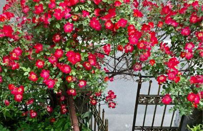 onde house casa vacanze Le Grazie - Foto 4