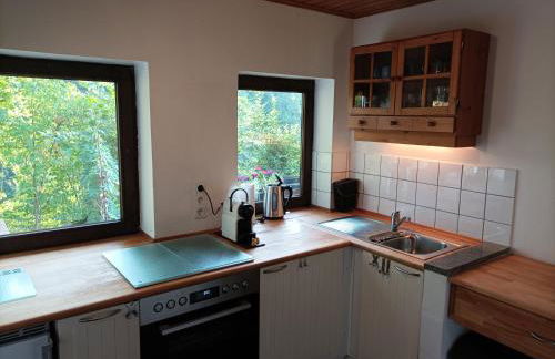 Burgberg Schöllnstein - Foto 19