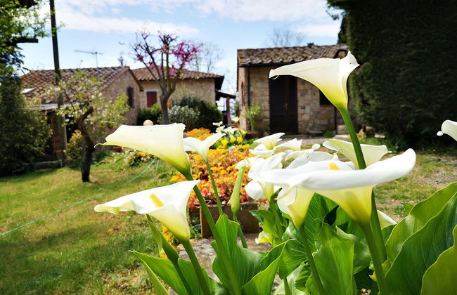 Agriturismo Grecinella - Foto 97