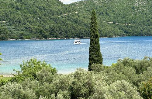 House Bartulovic -Lucia Apartment with sea view - Foto 16