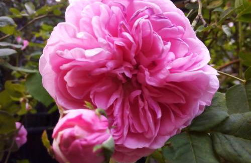 Ferienwohnung am Walnussbaum - Foto 19