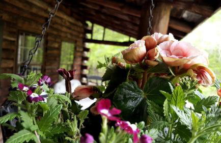 Deer Valley Retreat, Lovely Log Cabin with Fireplace & Garden Views- Perfect for a Relaxing Getaway! - Foto 62